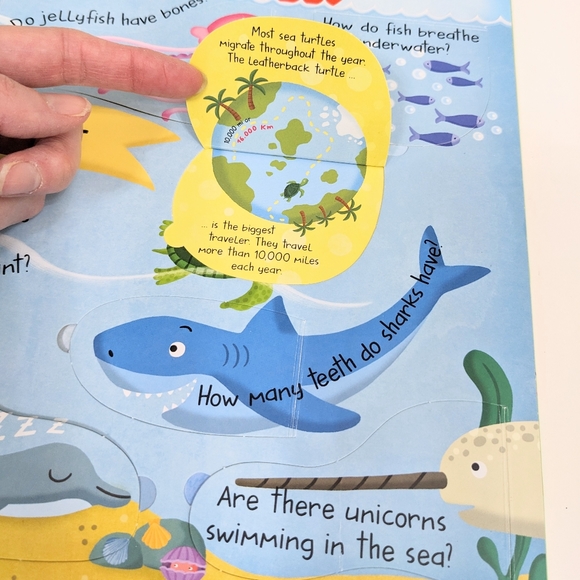 ⭐ My Big Book of Answers: Animals Flap Book⭐ - Picture 5 of 9